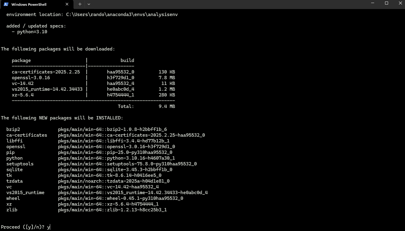 Step 2: Environment creation output