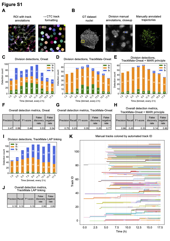 TrackMate-Oneat Accuracy
